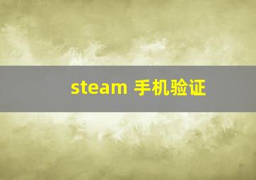 steam 手机验证